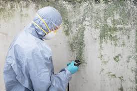  Platte City, MO Mold Removal Pros